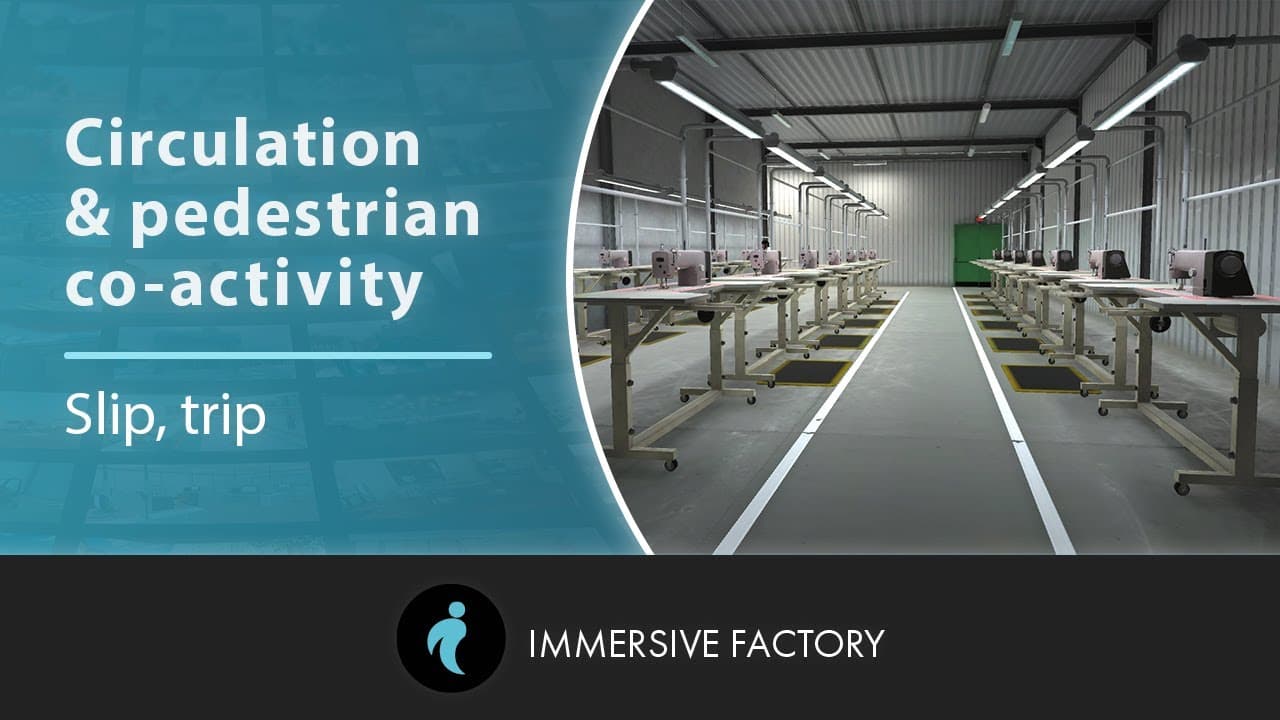 Circulation and Pedestrian Co-activity - Slip, trip